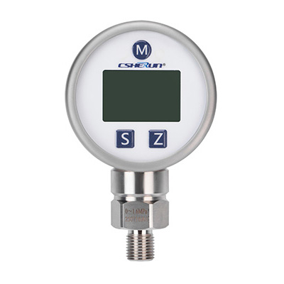 Đồng hồ đo áp suất kỹ thuật số TPS.08